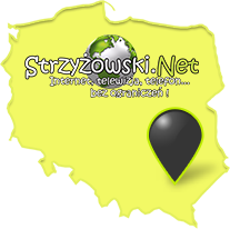 Lokalizacja Strzyżowski NET