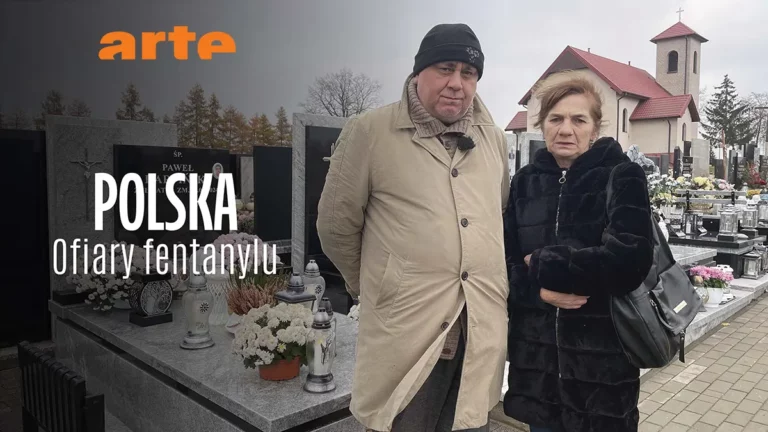 Top 10 Programow Na Artetv